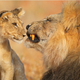 Image for article titled Nature Photos That Will Rock Your World